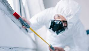 Best Commercial Pest Control  in Mcdonald, OH